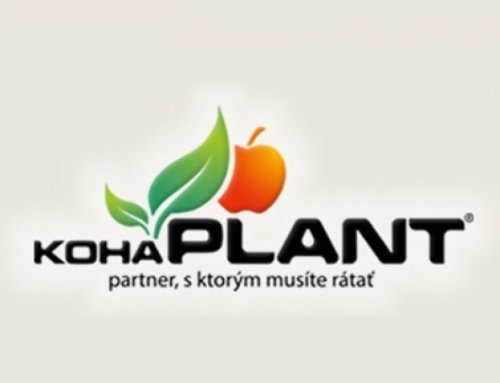 Kohaplant